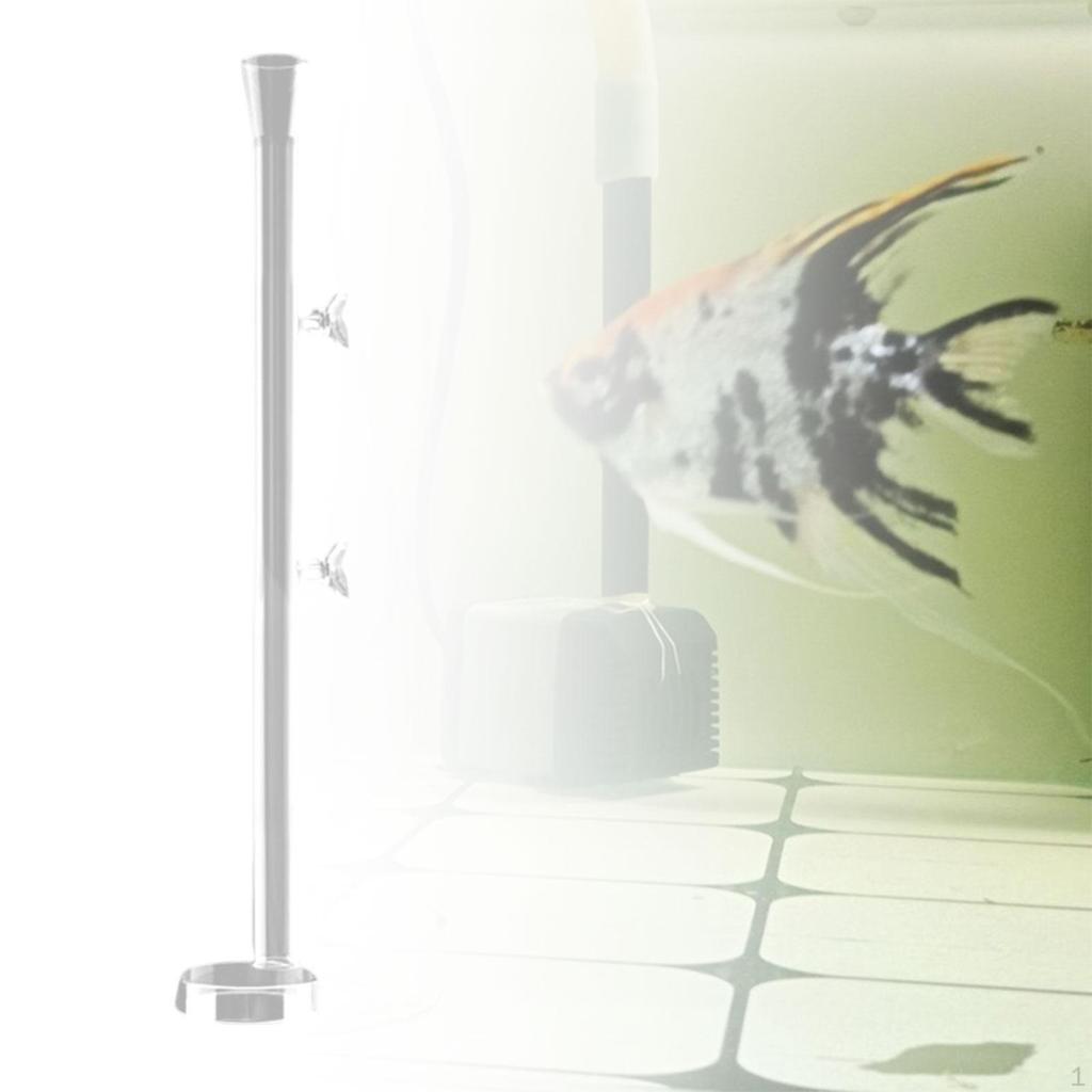 Кормушка с круглой кормовой пластиной — универсальные креветки для домашнего использования