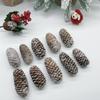 Natural Dried Pine Cones for Christmas Tree Decoration, Photography Props, Floral Wreaths, and Bouquets.