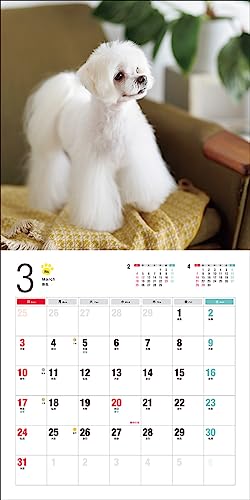 Календарь 2024 Мальтийский (Календарь Seibundo Shinkosha)