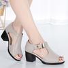 Women's Shoes With Thick Heels Straight Strap Thin Band Middle Heel Sandals Slippers 35-41