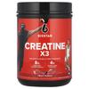 Creatine X3™, Fruit Punch, 2.19 Lb (993 G)