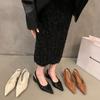 Trendy Brand French Low-heeled Niche Bag Head Sandals Women's Shoes 2025 New Summer Folds with Skirt Pointed Single Shoes