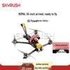 SKYRUSH FPV Racing and Freestyle Drones (CN version)