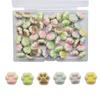 Plastic Cork Board Accessories Steel Nail Thumb Tacks 50 Pieces Decorative Drawing Pins  Office
