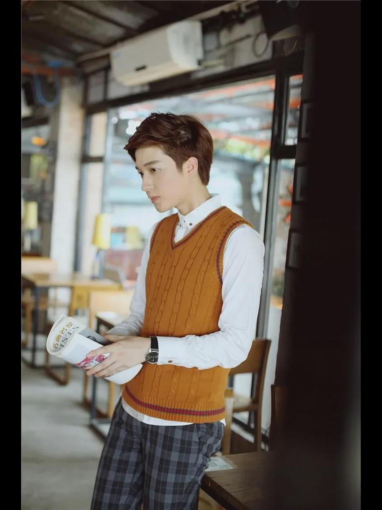 Мужской тонкий трикотажный шерстяной жилет с V-образным вырезом - модный корейский свитер без рукавов