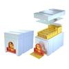 Queen Bee Mating Box Foam Queen Rearing Box Breeding Rearing Copulation Accessory Beekeeping Equipment for Beehive Bee Breeding