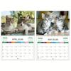 2026 Cute Tabby Kittens Calendar 12 Monthly Planner Wall Calendar Home Office