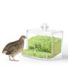 Rutin Chicken Automatic Food Feeder Large Capacity Anti-overturning Food Box Small Animal Feeding Supplies