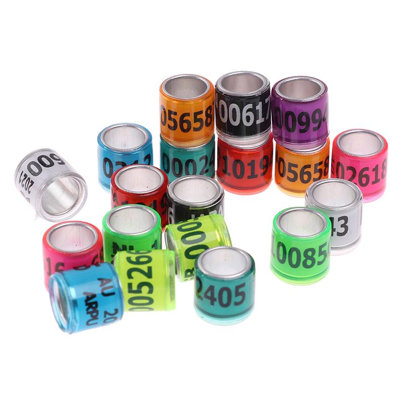 20 шт. Кольцо в виде лапки голубя с серьгами в виде слов 2021 Многоцветные инструменты для птиц