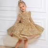 Girls' Golden Dress, Princess Dress, Piano Runway Performance Costume