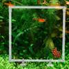 Clear Aquarium Floating Plant Corral Acrylic Aquarium Food Ring  Garden Lawn Yard