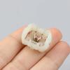 12V DC Motor Rear Cover White Central Lock Part Carbon Brush Holder  Central Lock