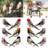 12Pcs Simulation Bird Realistic Vivid Appearance 6 Different Colors Spring Artificial Sparrow Feather Bird with Fixing