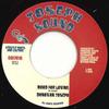 7-дюймовая пластинка DONOVAN JOSEPH - Mood For Loving / Version CGI7016 Common Ground I 1991 UK Регги, Ска и Даб
