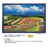 Yanoman [Made in Japan] 1000-Piece Jigsaw Puzzle: Scenery of Japan - Shikisai-no-oka and the Tokachi