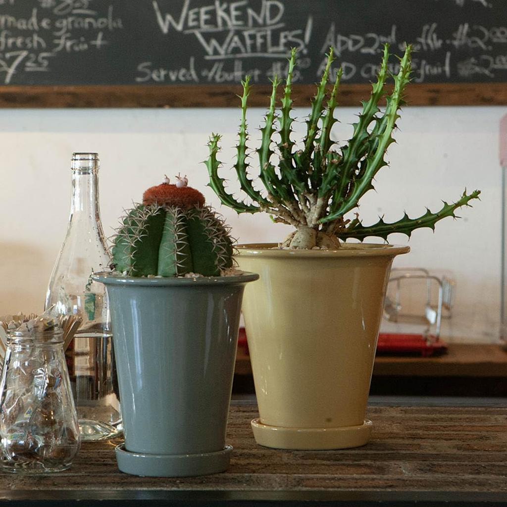 Dulton Botany Long Pot S Gray A Tall Flower Pot Decorated with an Embossed Logo and Earth Colors BOTANY Size Height Diameter 4.5 16.4cm 14.6cm