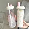 Pink Bow Print Water Bottle with Straw Lid 700ml Cute Tea Cup Portable Milk Juice Container for Outdoor School Travel