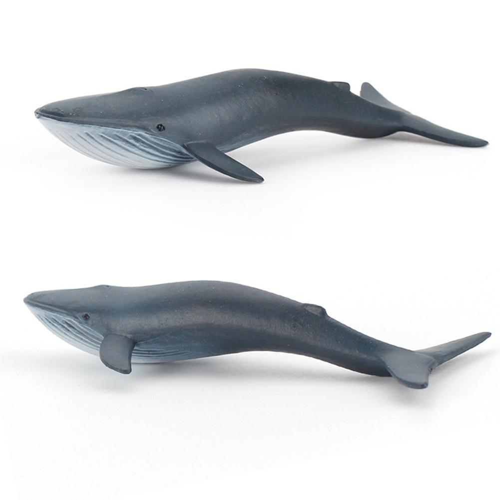 4pcs/set Plastic Mini Solid Static Marine Creature Model Set Science Educational Decoration Toy