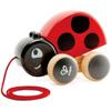 Wooden Pull Along Beetle Toy for Children From 12 Months