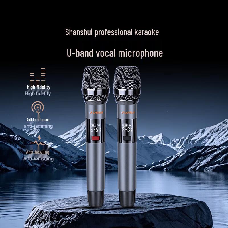 Sansui TD129 Pro Home KTV & Outdoor Bluetooth Speaker System