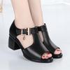 Women's Shoes With Thick Heels Straight Strap Thin Band Middle Heel Sandals Slippers 35-41