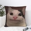 Смешные мемы с котами Подушка Чехол для подушки Милый смешной чехол для подушки Для дивана диванчика спальни Индивидуальные чехлы для подушек Подарок