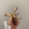 Clip Hairpin Female Hair Accessories Korean Style Headwear Acetic Acid Hair Clip Metal Hair Claw