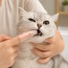 5/10pcs Ultra-Soft Cat Silicone Toothbrush Remove Bad Breath Dog Toothbrush  Oral Cavity Cleaning