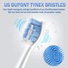 Replacement Toothbrush Heads Compatible with Philips Sonicare Electric Toothbrush 4100 5100 6500 C3 W3 and More Click-on Handles