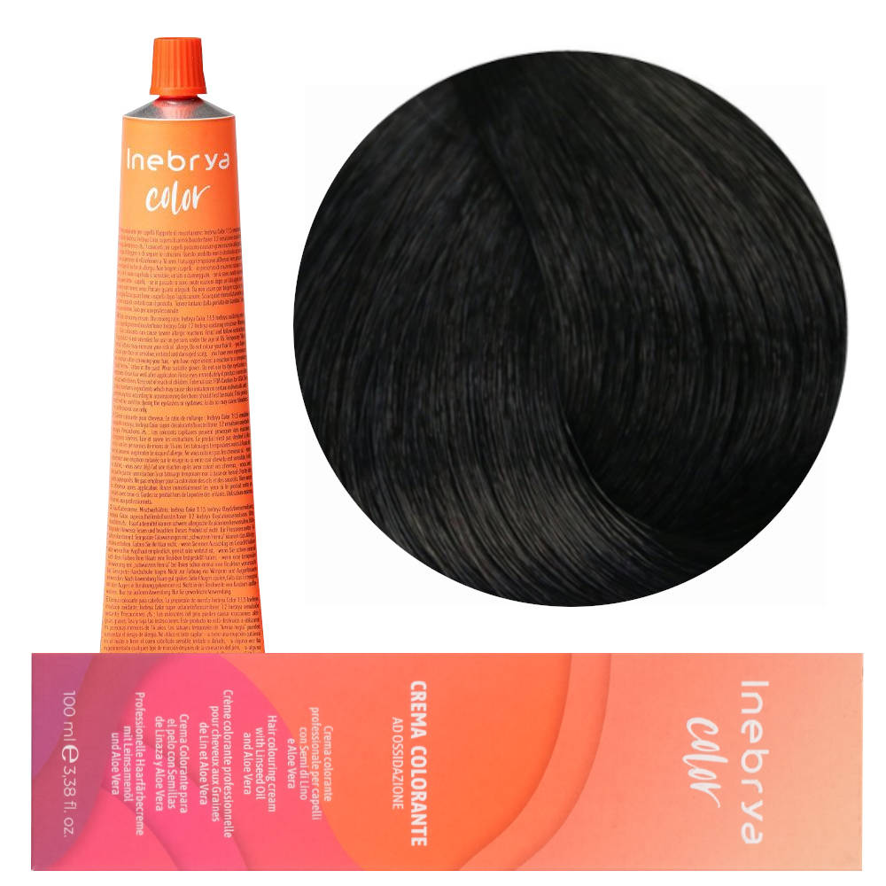 Inebrya Color 3 Paint 100
