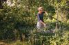 Fiskars Powergear Two-Handed Anvil Garden Pruner for Hard Branches