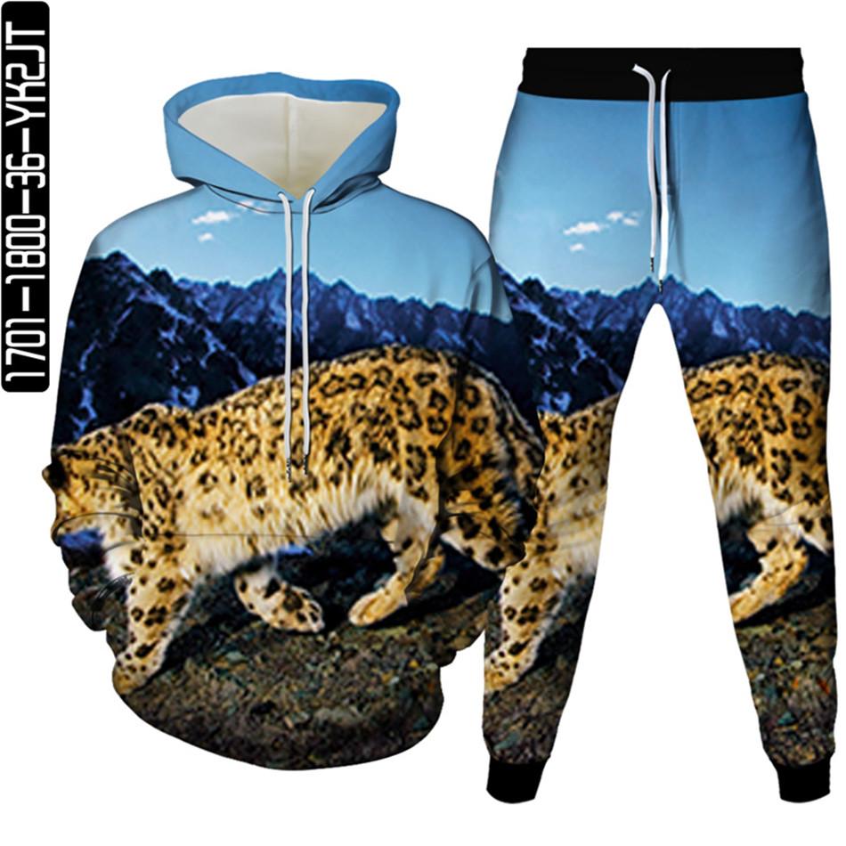 Весенне-осенний мужской спортивный костюм с 3D принтом животных и леопарда, 2 предмета, женский спортивный костюм больших размеров S-6XL, одежда с капюшоном и брюками, спортивный комплект