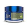 Blue Nectar Eladi Солнцезащитный крем для улицы с SPF 30 для мужчин | Солнцезащитный крем для лица для мужчин с Яшад Бхасма | Увлажняющий дневной крем без масел и для ежедневного использования Ma