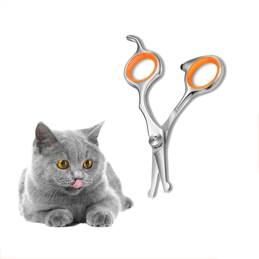 Stainless Steel Cat Grooming Scissors Professional Dog Hair Scissors Cleaning