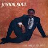 7-дюймовая пластинка JUNIOR SOUL, BETTY RICHARDSON - Ain't Under Standing Mellow (Pictur J35 2м Записи Ямайка Регги, Ска и Даб