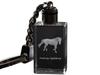 American Saddlebred - Crystal Pendant with Photo of a Horse, Illuminated Pendant, Unique Gift by Art-Dog Brand