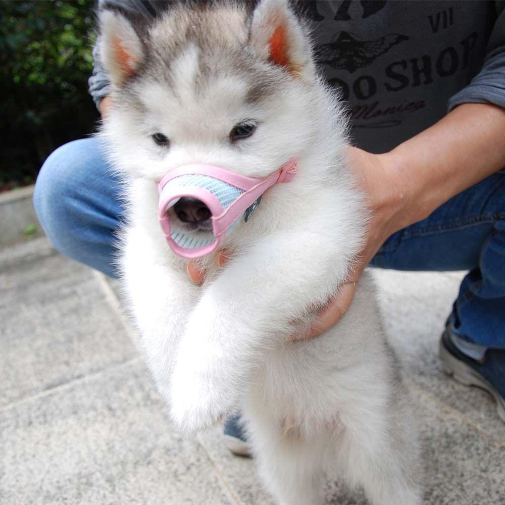 Safety Anti Bite Bark Chewing Adjustable Pet Product Mouth Grooming Mouth Muzzle Dog Muzzle