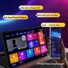 Newmine BT816 Pro Smart Home KTV Karaoke System (CN version)