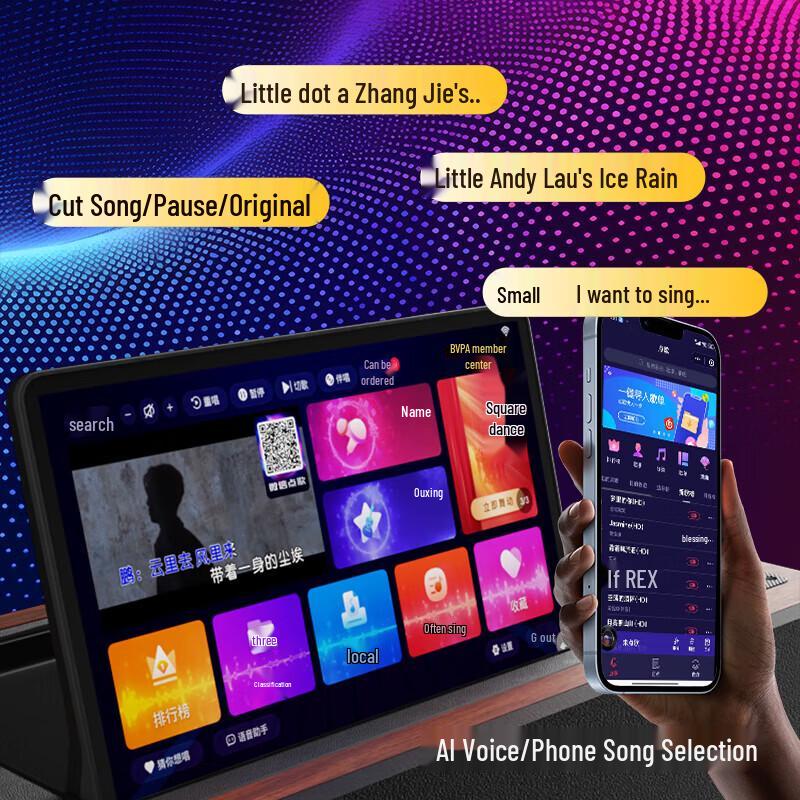 Newmine BT816 Pro Smart Home KTV Karaoke System (CN version)