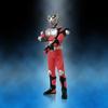 TAMASHII NATIONS Soft Vinyl Soul Kamen Rider Ryuki VOL.29