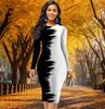 Long Sleeve Waist Tight Office Slim Fit Two Tone Splicing Printing Elegant Bodycon Dress