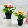 Artificial Potted Peony Flower Home Office Living Room Table Centerpiece Wedding Faux