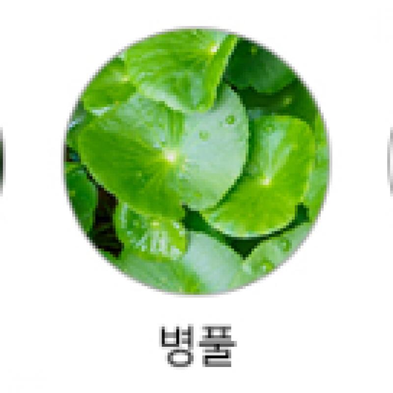 LINDSAY Lindsay Premium Cool Tea Tree Modeling Pack 1 кг