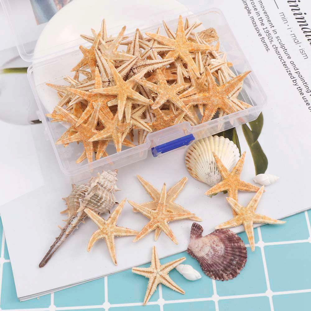 Shells Epoxy Resin for Aquatic Pet Resin Casting Fish Tank Decoration Aquarium Supplies Starfish