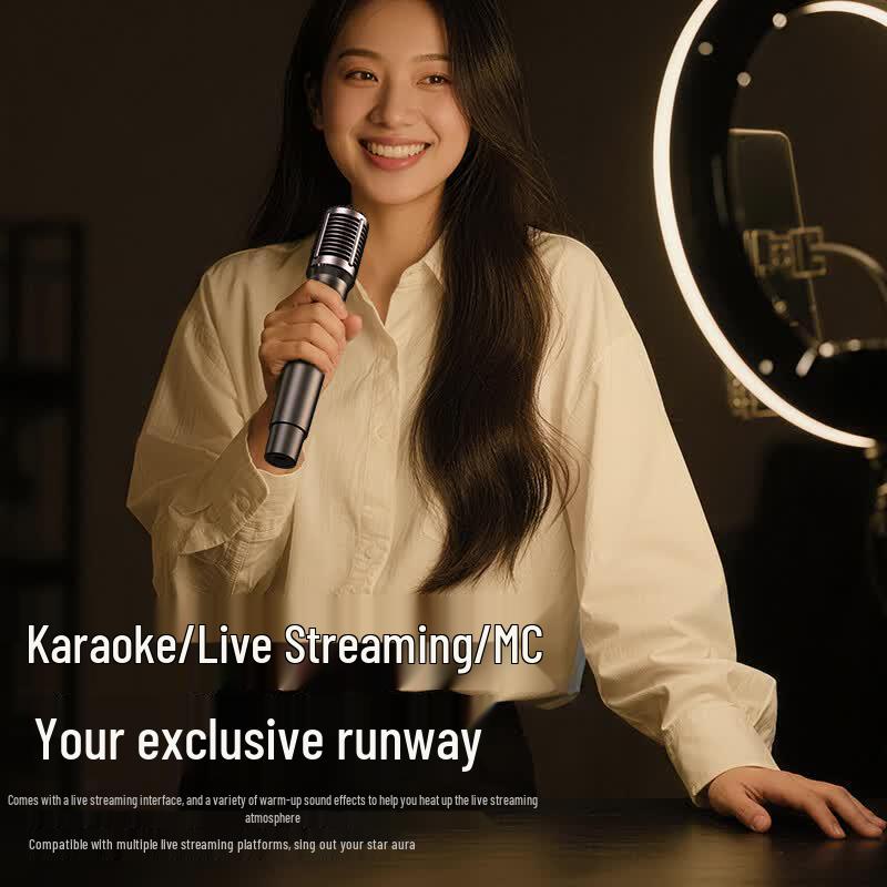 Портативная Bluetooth-колонка для караоке SANSUI SK360 (Китайская версия)