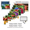 TFT LCD 4,3 5 5,5 7 8 9 10,1 дюйма Mipi MCU RGB Маленькие IPS LCD Сенсорные Экраны Модули Дисплея