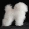 Plush Dog Model Soft Hair Practice Cutting Stuffed Animal Professional Fake Hair Petshop Products for Dogs Model Accessories