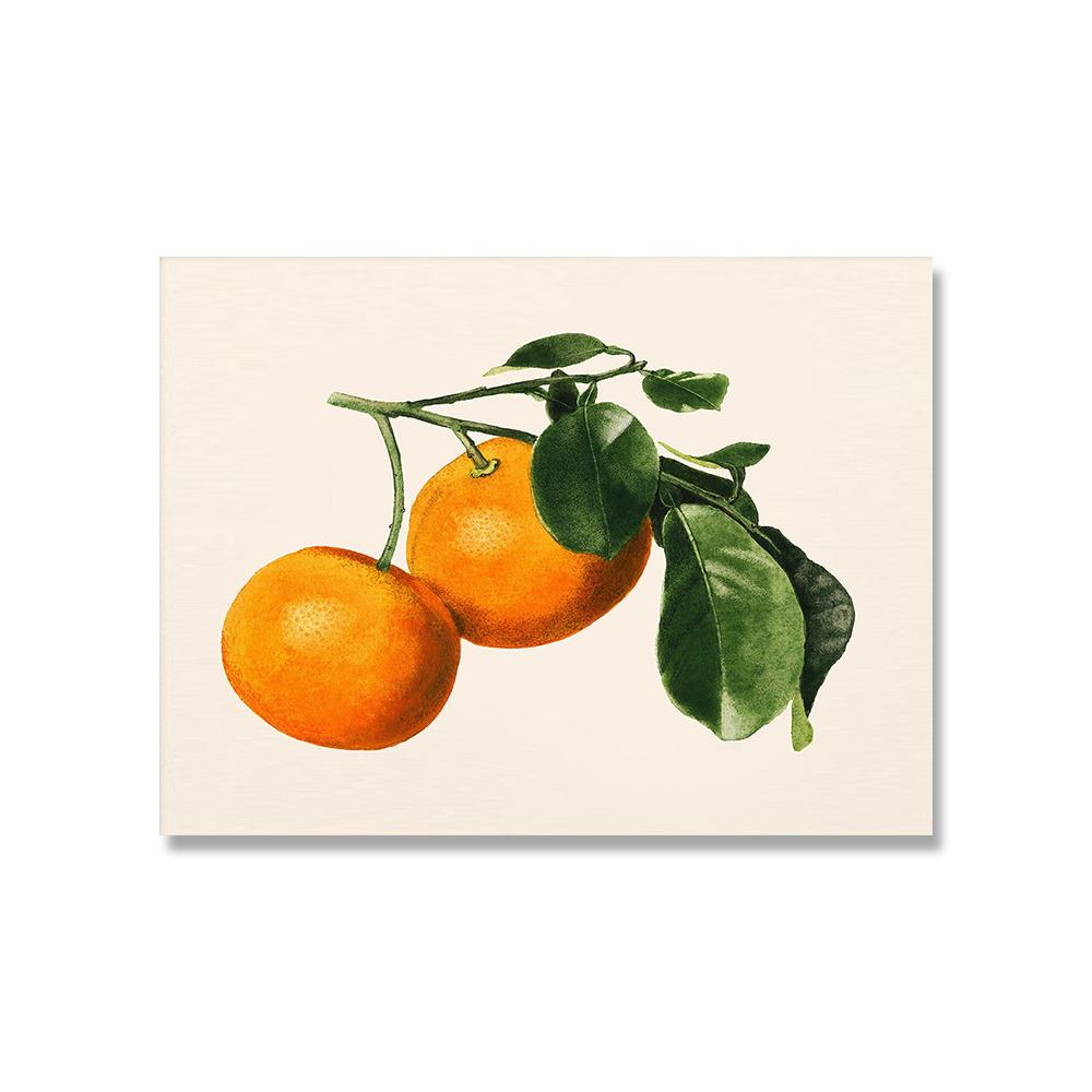 Винтажный Ретро постер с фруктами, авокадо, клубникой, скандинавский холст, картина, настенные художественные картины, принты для декора кухни и комнаты