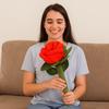 Soft Simulation Plush Rose Romantic Rose Plush Pillow Red Rose Bouquet  Home Decoration