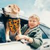 Двусторонний шарф для питомца на Хэллоуин